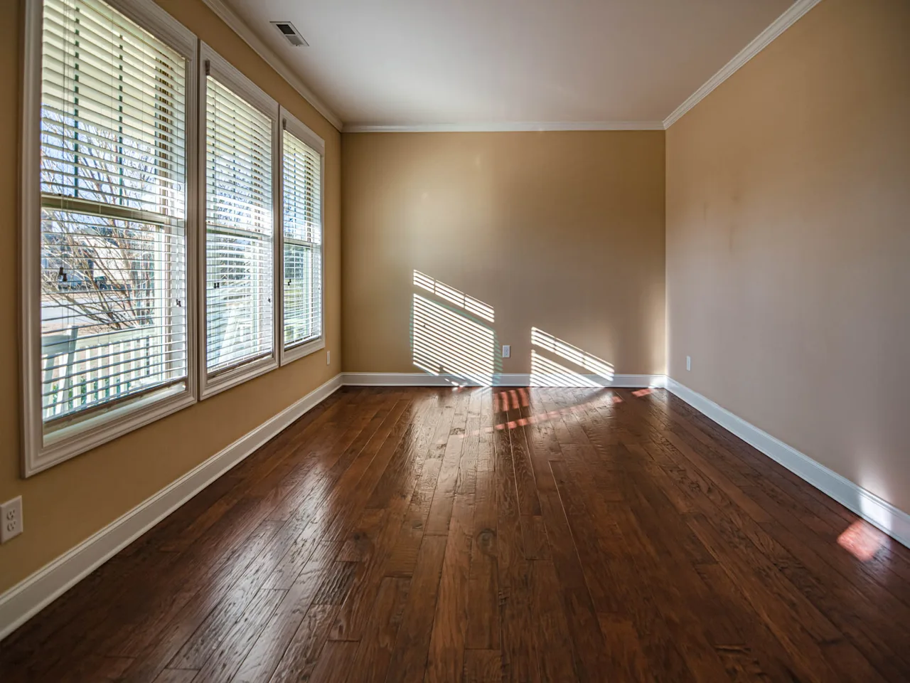Bright living room with modern energy-efficient windows in a Tampa home