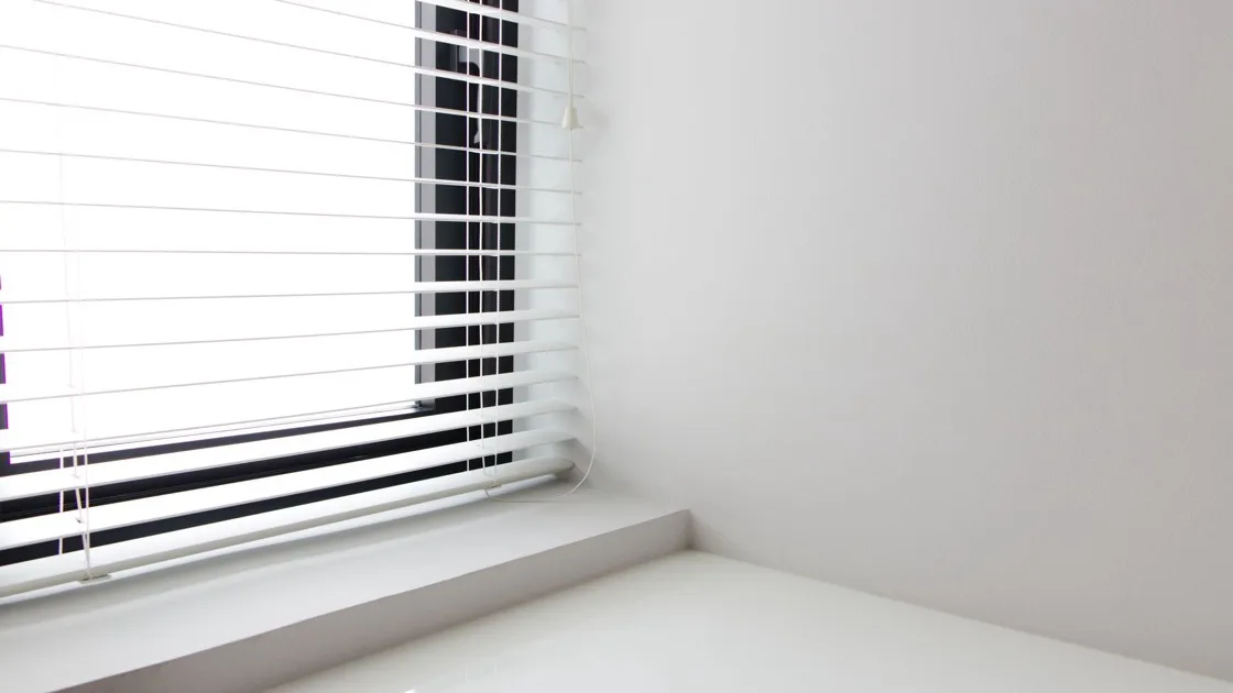 Modern energy-efficient windows brightening a Florida living room